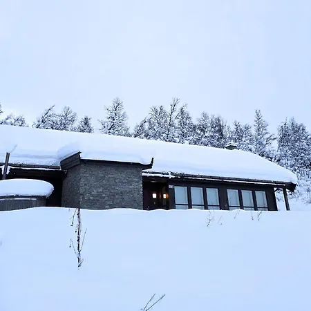 Cozy In With Sauna Rauland